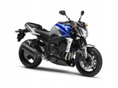 2010 Yamaha FZ1 ABS photo